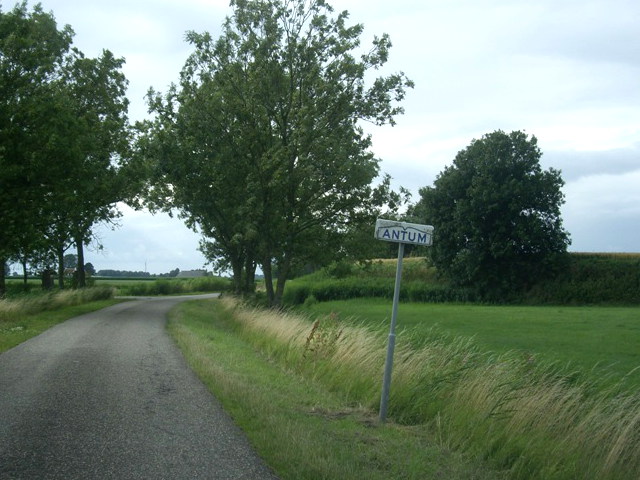 antumIMGP7283