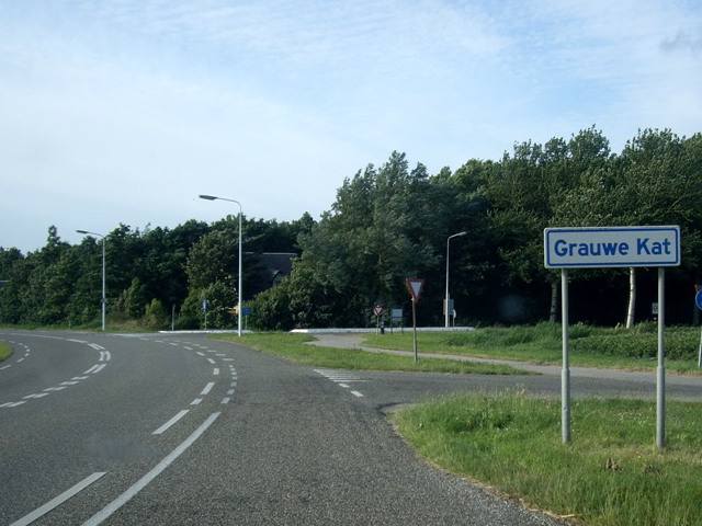 grauwekatIMGP6822