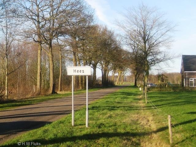 hees8447