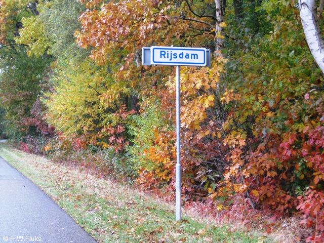 rijsdam5050