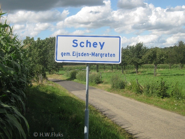 schey2346