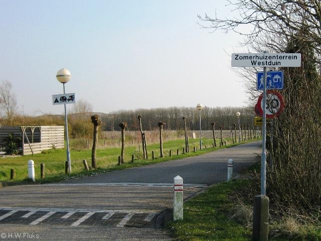 zomerwestduin022