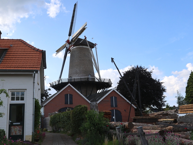 IMG_1201ruurlo_z
