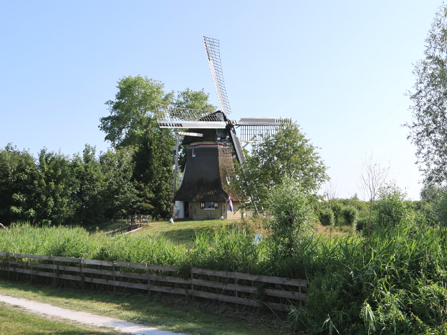 IMG_1377nijetrijne_z