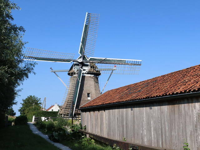 IMG_1388nijetrijne_z