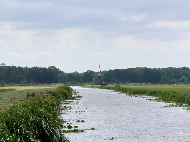 IMG_1523wassenaar_z