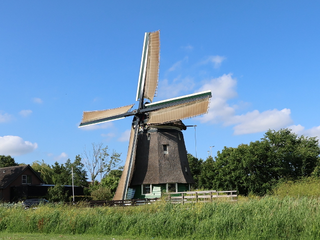 IMG_1560edam_z