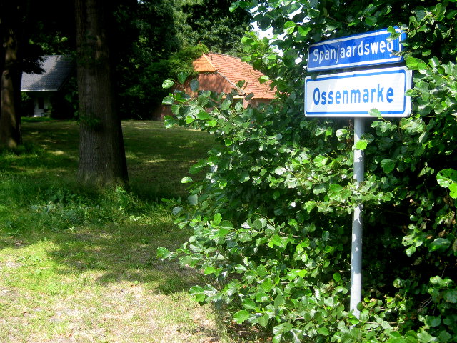 IMG_9538ossenmarke