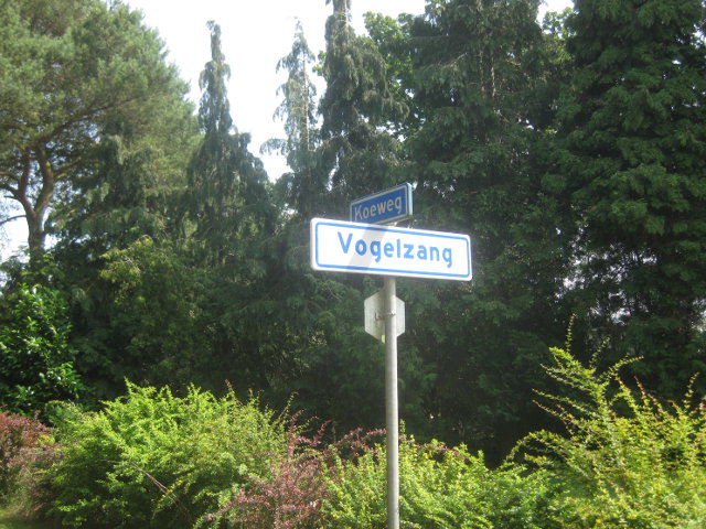 IMG_9545vogelzang