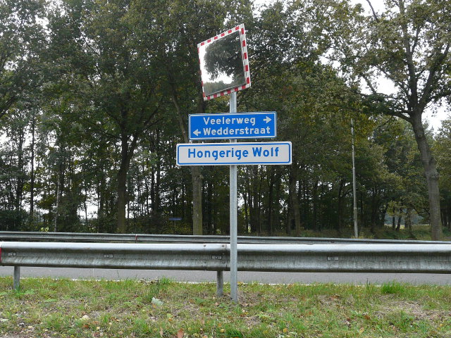 P1000911hongerigewolf