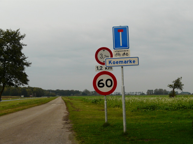 P1000913koemarke