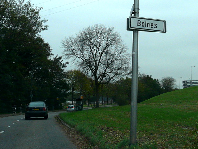 P1010255bolnes