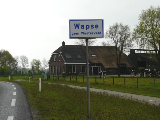P1050391wapse