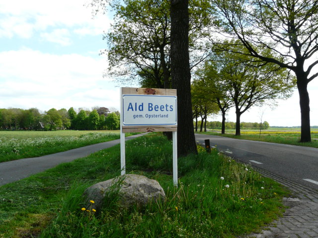P1050734aldbeets
