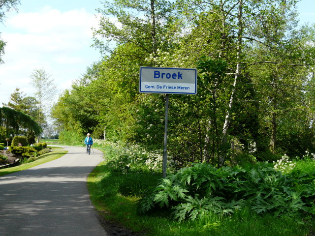 P1050773broekzuid