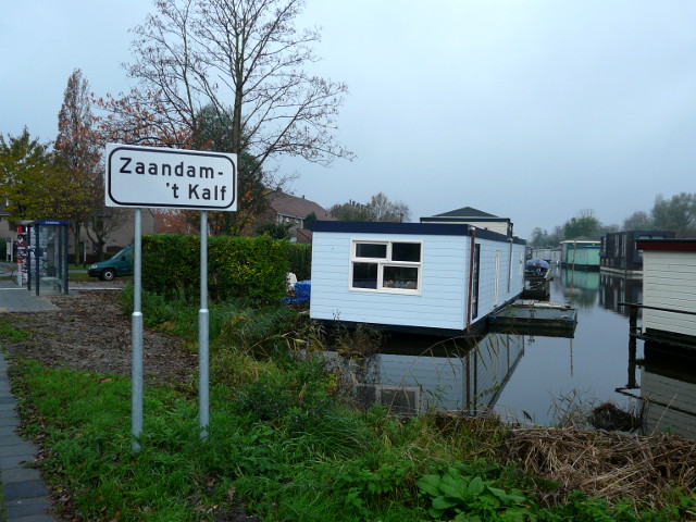 P1120273zaandamtkalf