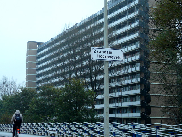 P1120281zaandamhoornseveld