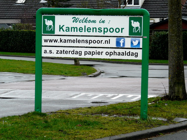 P1130265kamelenspoor