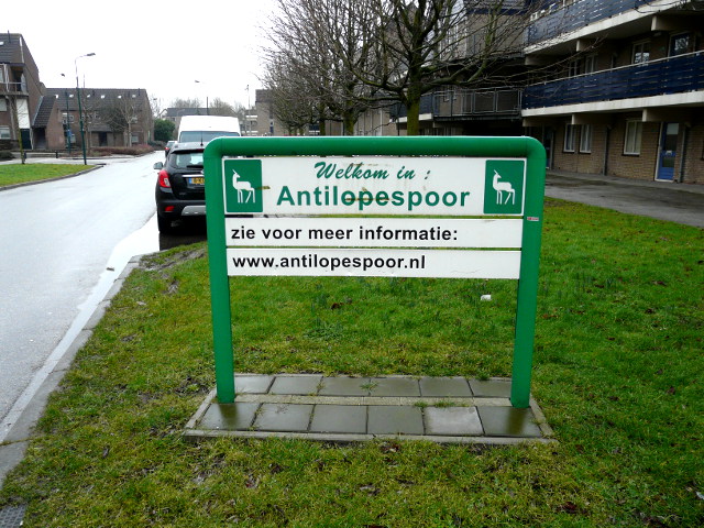 P1130270antilopespoor