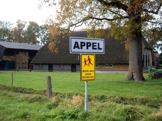 appelIMGP0275