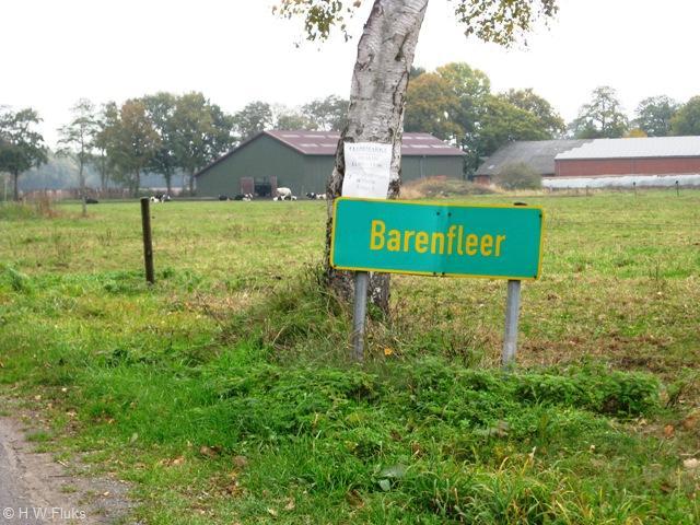 barenfleer5069