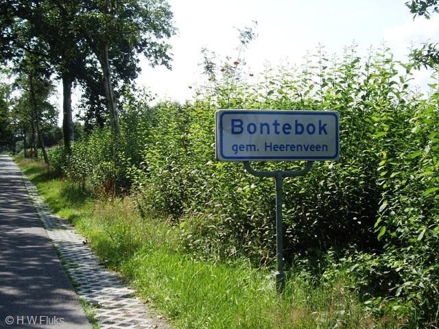 bontebokwitIMGP7773