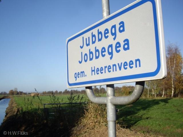 jubbegawitIMGP0321