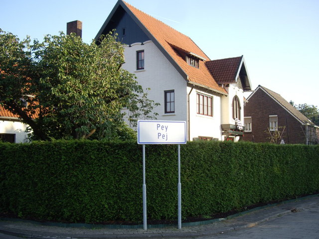 peyIMGP9044
