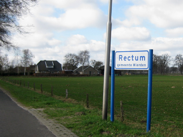 rectum037