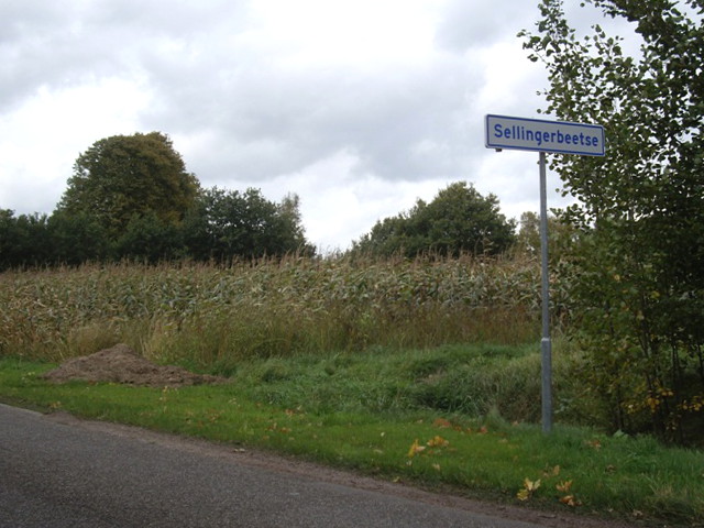 sellingerbeetseIMGP9732