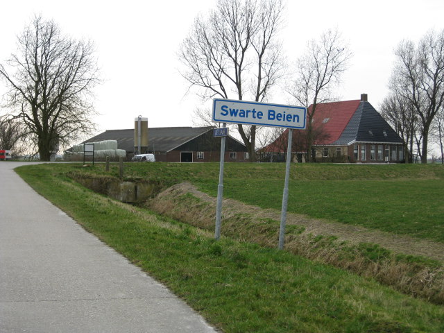 swartebeien050
