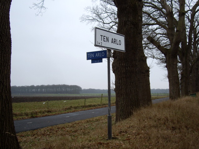 tenarloIMGP1153