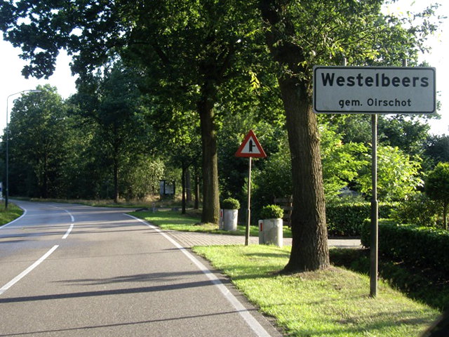 westelbeersIMGP7554