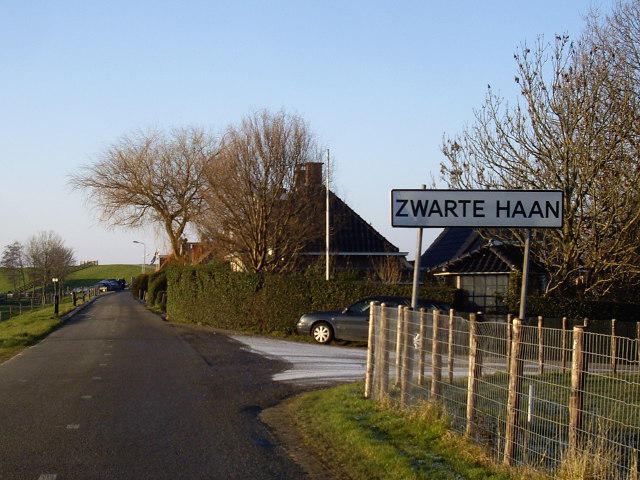 zwartehaanIMGP0833