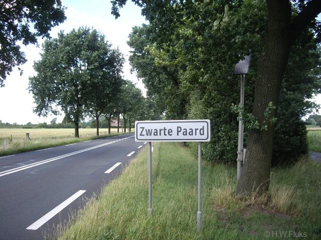 zwartepaardIMGP7096