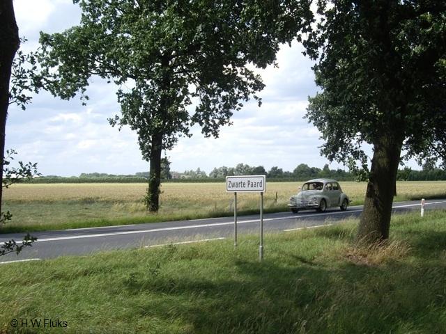 zwartepaardIMGP7097
