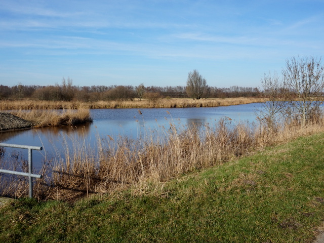 DSC00078winschoterzijl_z