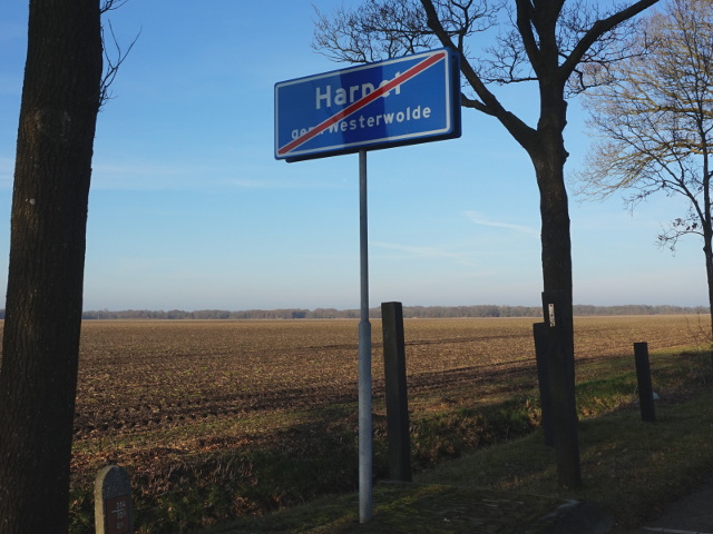 DSC00107harpel_e