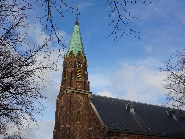 DSC09128biezelinge_z