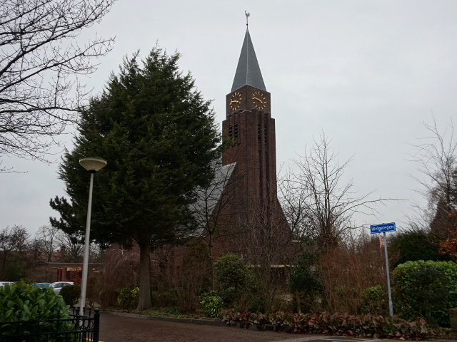 DSC09396rozenburg_z
