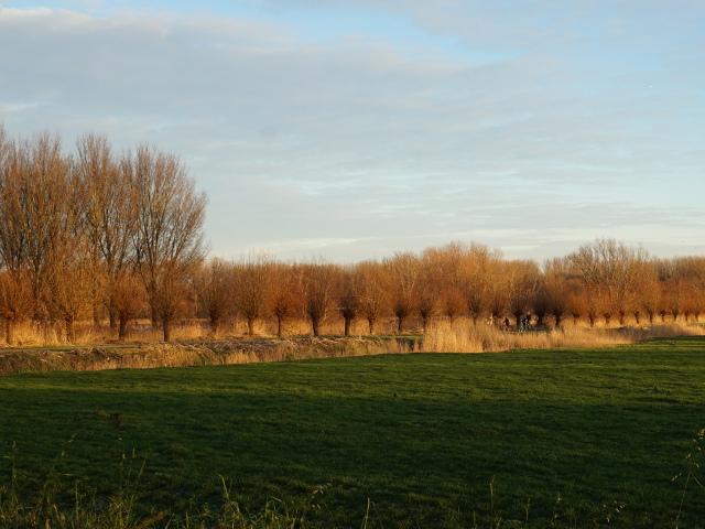 DSC09491velserbroek_z