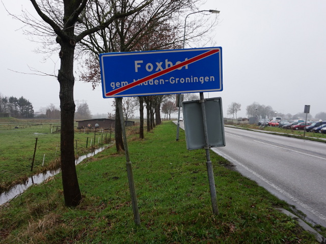 DSC09519foxhol_e