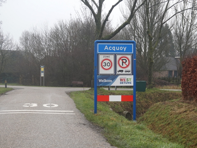 DSC09569acquoy_b