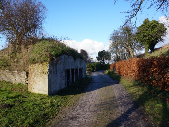 DSC09626ooltgensplaat_z