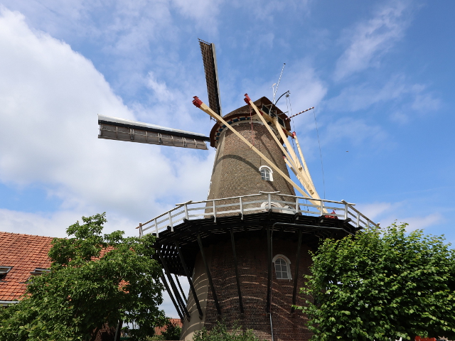 IMG_1438wageningen_z