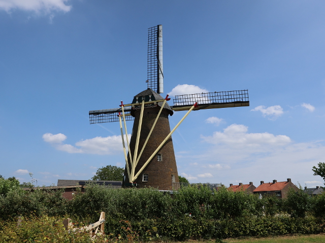 IMG_1471merselo_z