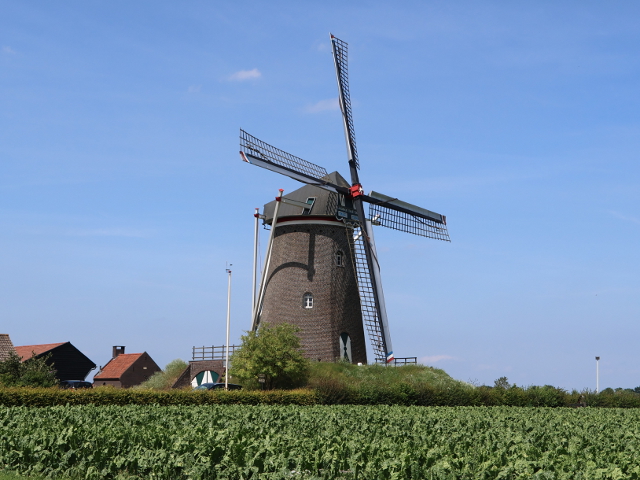 IMG_1476meterik_z