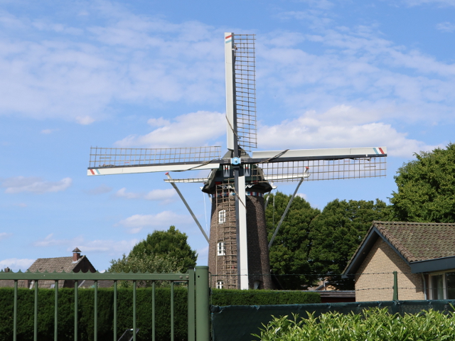 IMG_1491horn_z