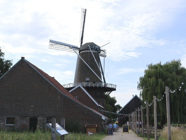 IMG_1497stevensweert_z