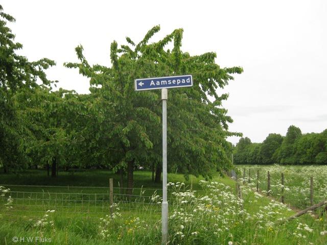 aam045